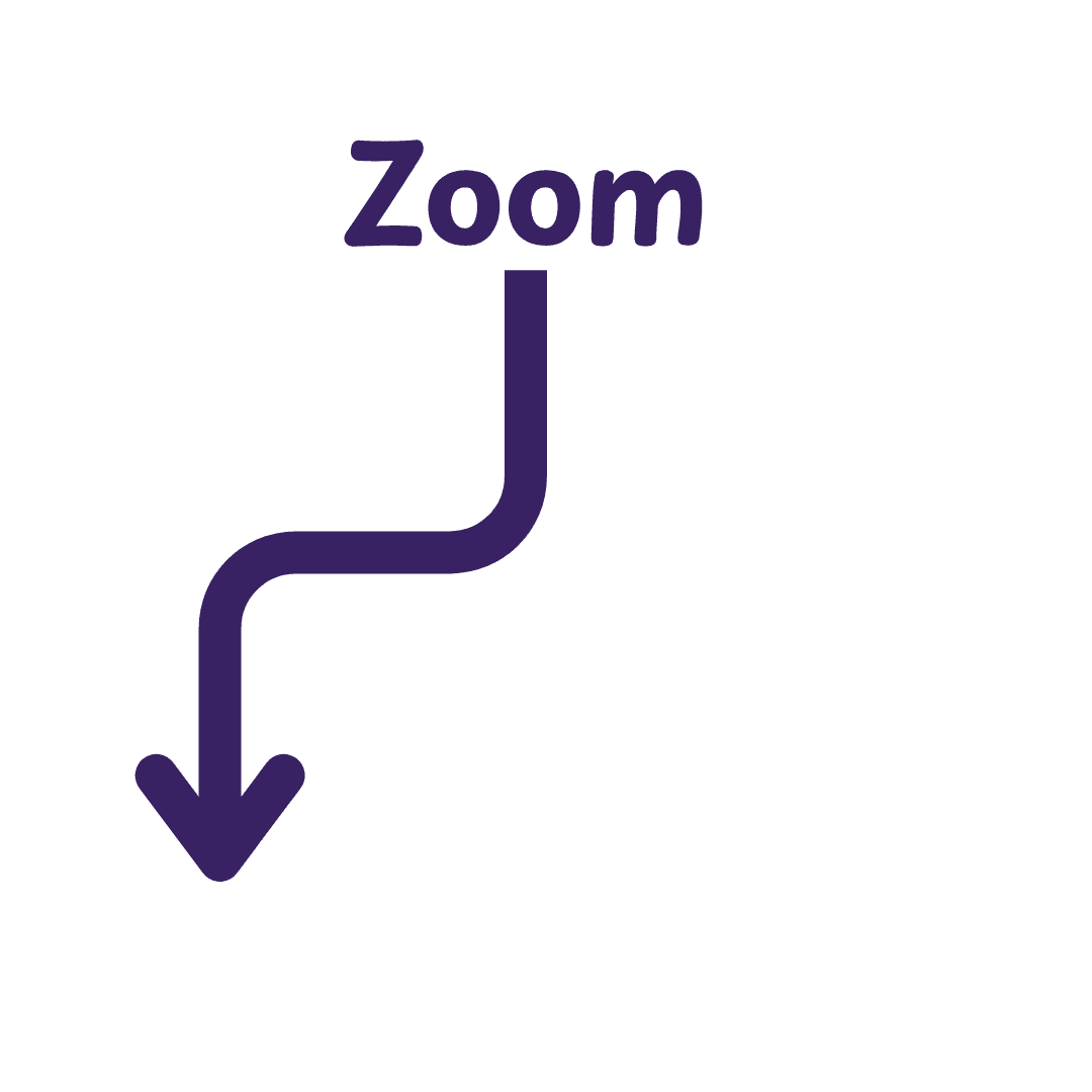zoom